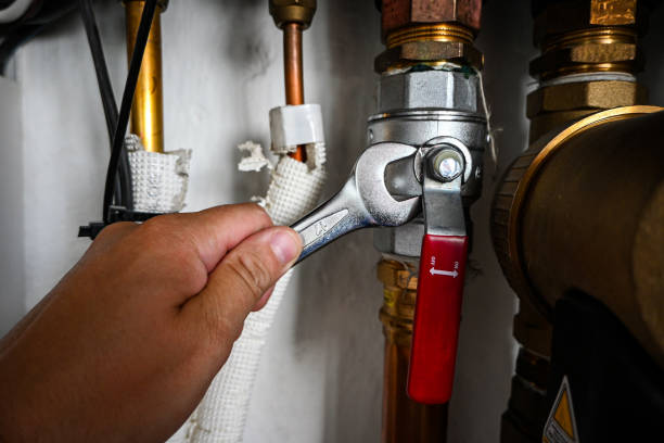 Best Toilet Repair Services  in Wright City, MO
